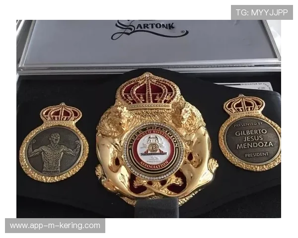 世界拳击青训学院与医疗机构共建康复体系，世界拳击协会wba