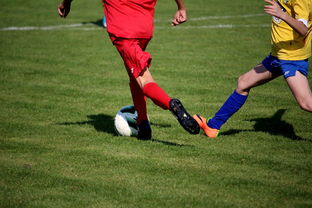 开云电竞-LPL多个队伍重组计划曝光转会期极度混乱，lpl战队转会期